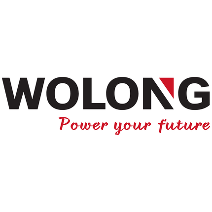 Wolong Logo